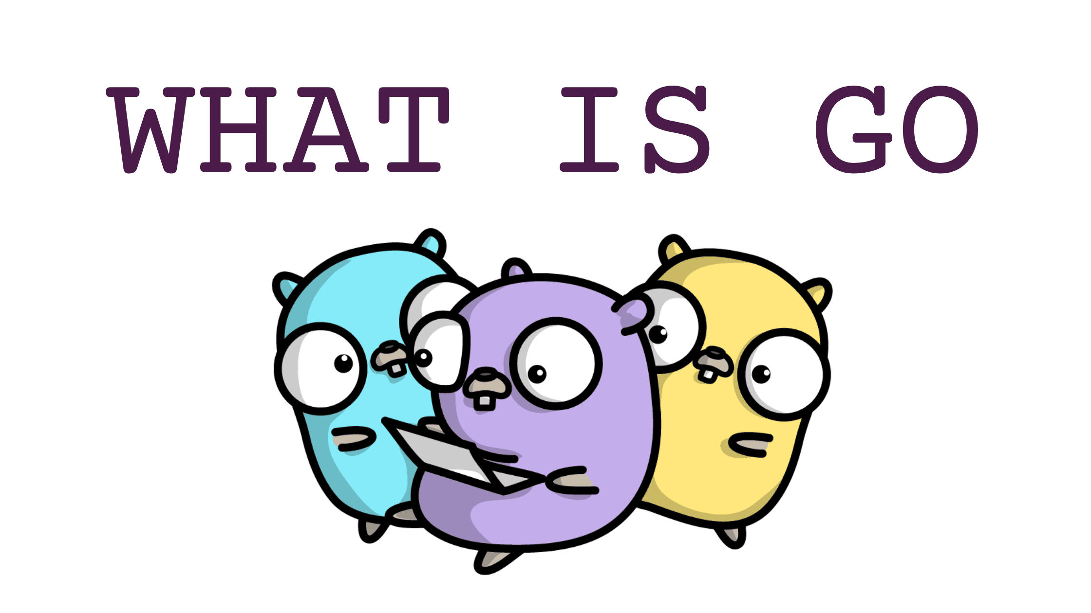Golang শুরু করার পূর্বে