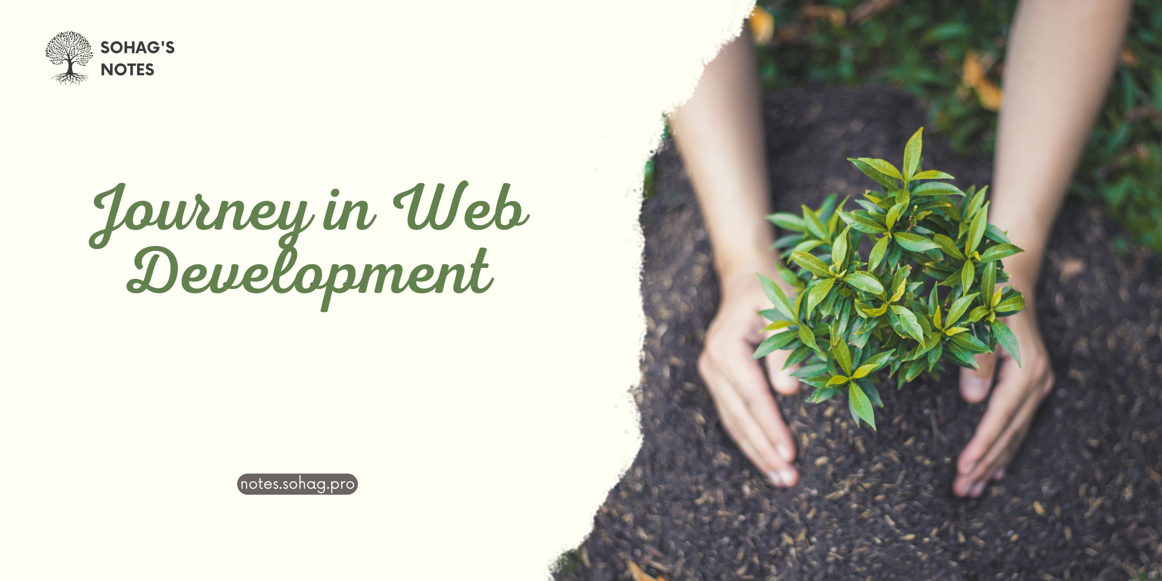 A Beginner's Guide to Starting a Journey in Web Development